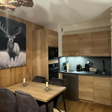 Cocon Au Coeur De Avec Parking Gratuit Chamonix