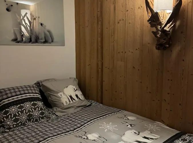 Cocon Au Coeur De Avec Parking Gratuit Appartamento Chamonix