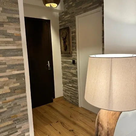 Апартаменты Cocon Au Coeur De Avec Parking Gratuit Шамони