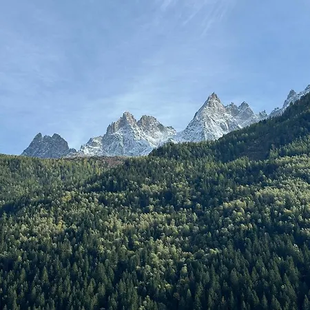 Cocon Au Coeur De Avec Parking Gratuit * Chamonix