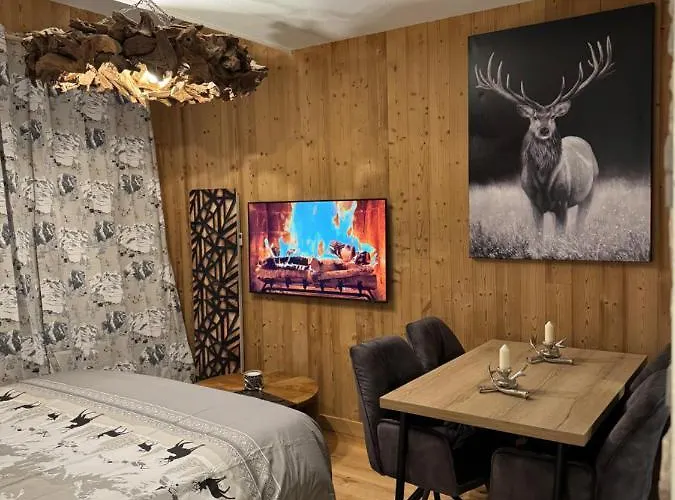 Cocon Au Coeur De Avec Parking Gratuit Apartment