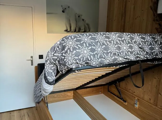 Apartment Cocon Au Coeur De Avec Parking Gratuit Chamonix