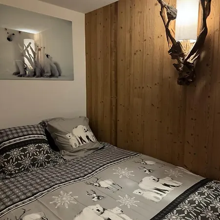 Cocon Au Coeur De Avec Parking Gratuit Apartment Chamonix