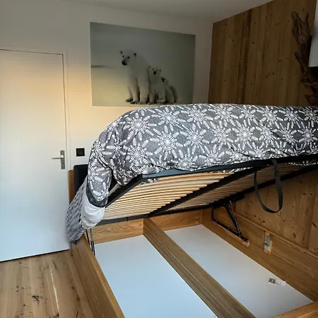 Apartment Cocon Au Coeur De Avec Parking Gratuit Chamonix