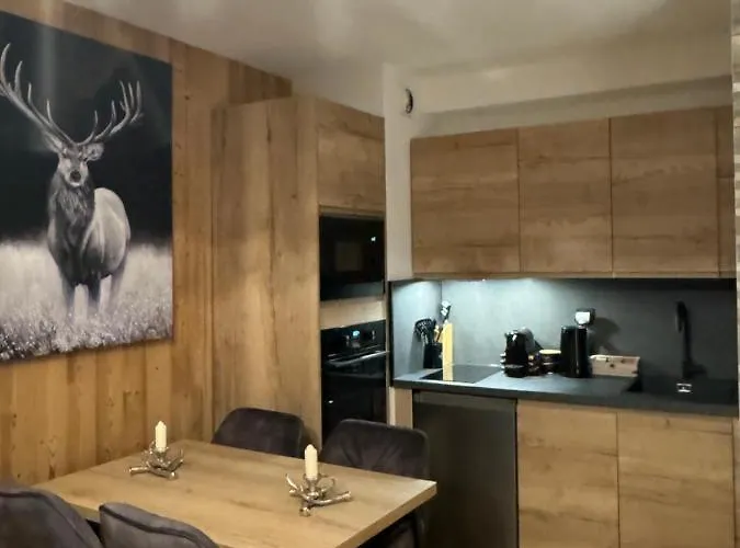 Cocon Au Coeur De Avec Parking Gratuit 霞慕尼